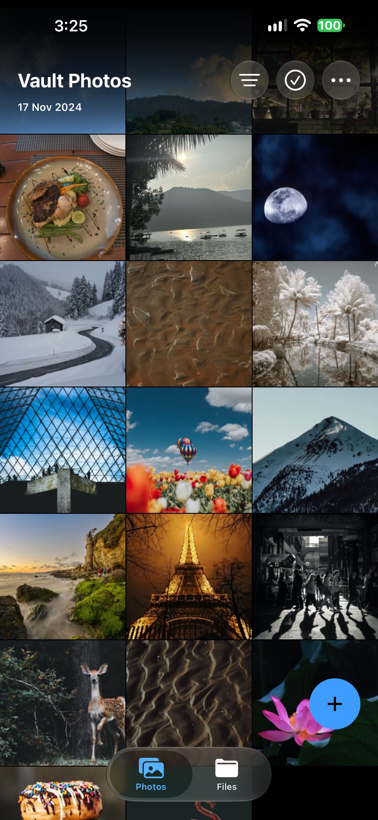 The Vaultever app showing a private photo gallery, with Photos and Files tabs.